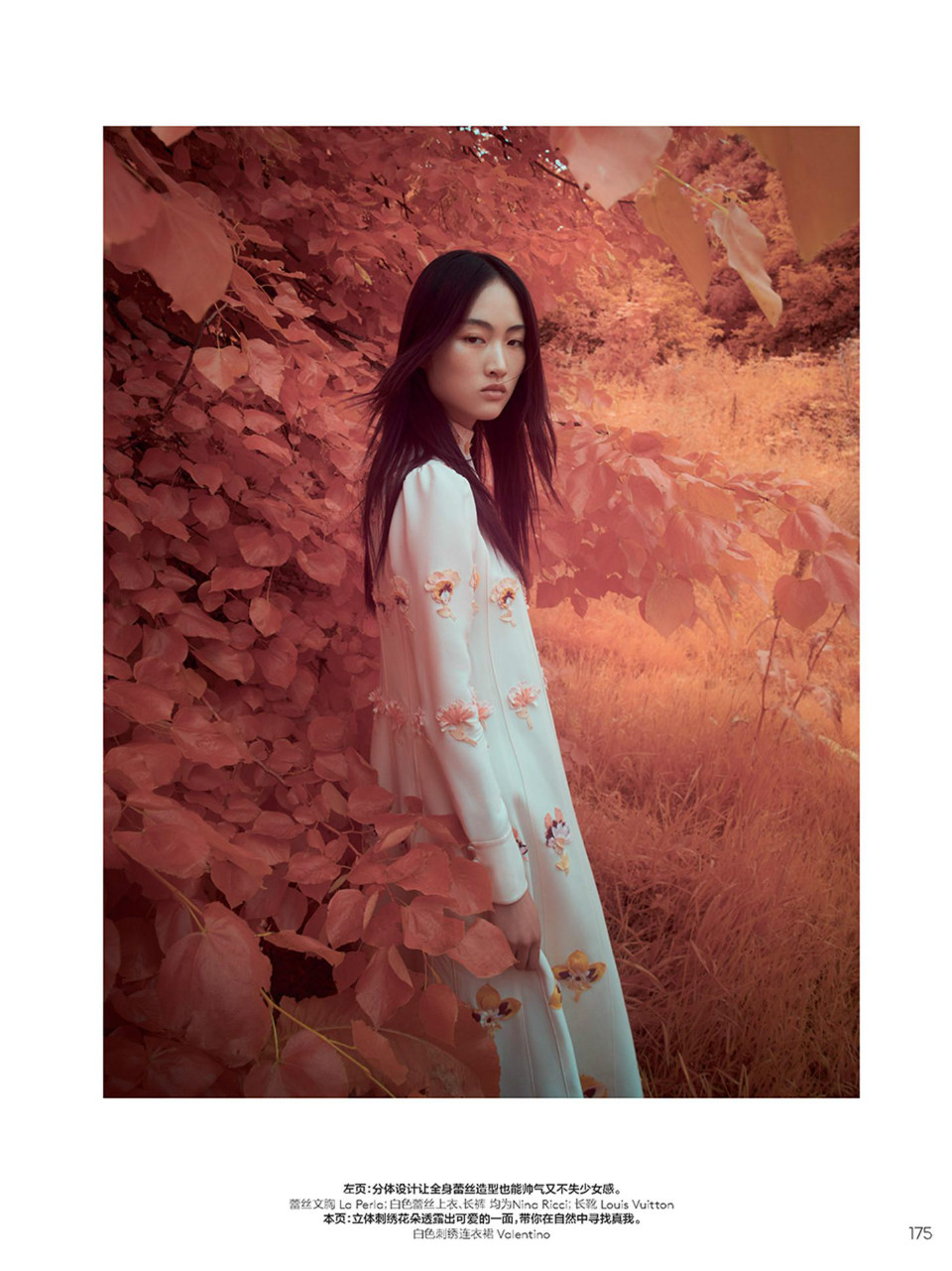 【美品】国連大学 Woman and Kinship ジェンダー 美品】国連大学 Woman and Kinship ジェンダー
