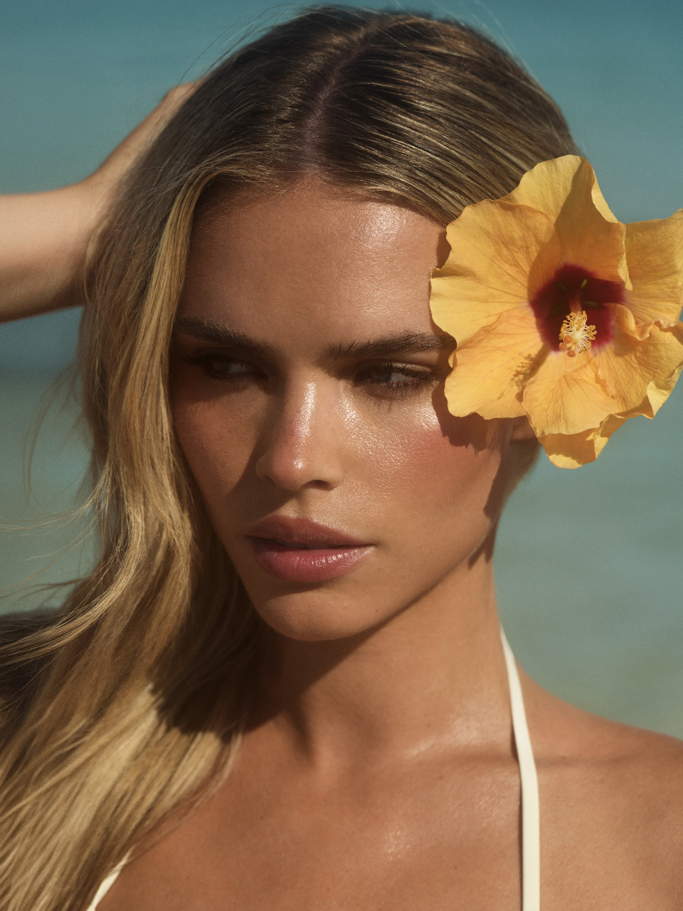 Hollie Ford